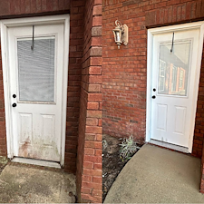 ong-Lasting-Exterior-Cleaning-with-Soft-Washing-in-Daphne 2